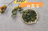 白茶饮用新变革：把饼茶都撬开成散茶，这种做法正确吗？