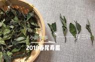 白茶口感不佳，是品质问题还是其他原因？探讨5大可能原因