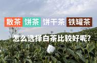 白茶散茶、饼干茶、饼茶：了解它们的饮用和收藏技巧。